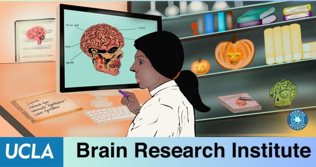 Neuroscientist on computer: Vidya Saravanapandian